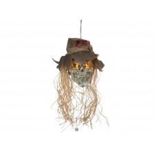 EUROPALMS Halloween Vogelscheuchen-Schädel, 70cm