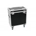 EUROLITE Set 2x LED PFE-100 RGBW + Case