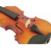 DIMAVERY Violine 4/4 mit Bogen, im Case