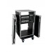 ROADINGER Rack PRO 18HE 45cm mit Rollen