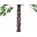 EUROPALMS Ficus-Benjamini Multi-Stamm, Kunstpflanze, 150cm