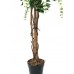 EUROPALMS Goldregenbaum, Kunstpflanze, weiß, 150cm