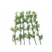 EUROPALMS Bambusstab mit Blättern, künstlich, 180cm, 6er Pack