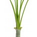 EUROPALMS Areca deluxe, Kunstpflanze, 180cm