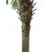 EUROPALMS Phönixpalme luxor, Kunstpflanze, 150cm