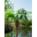 EUROPALMS Phönixpalme luxor, Kunstpflanze, 150cm