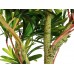 EUROPALMS Steineibe, Kunstpflanze, 90cm