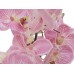 EUROPALMS Orchideen-Arrangement (EVA), künstlich, lila