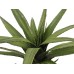 EUROPALMS Aloe (EVA), künstlich, grün, 50cm