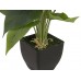 EUROPALMS Calla mini, Kunstpflanze, weiß, 43cm