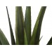 EUROPALMS Aloe-Vera Pflanze, Kunstpflanze, 60cm