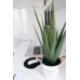 EUROPALMS Aloe-Vera Pflanze, Kunstpflanze, 60cm