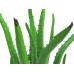 EUROPALMS Aloe-Vera-Pflanze, Kunstpflanze, 63cm