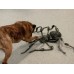 EUROPALMS Halloween Monsterspider ca. 130cm