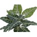 EUROPALMS Caladium, Kunstpflanze, 38cm