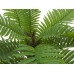 EUROPALMS Cycas Palme, Kunstpflanze, 70cm