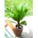 EUROPALMS Cycas Palme, Kunstpflanze, 70cm