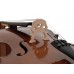 DIMAVERY Cello 4/4 mit Soft-Bag, C-Kante