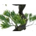 EUROPALMS Bonsai Pinie, Kunstpflanze, 95cm