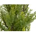 EUROPALMS Zypresse, Leyland, Kunstpflanze, 60cm