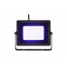 EUROLITE LED IP FL-30 SMD blau