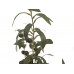 EUROPALMS Olivenbäumchen, Kunstpflanze, 68 cm