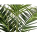 EUROPALMS Kentia Palme, Kunstpflanze, 240cm