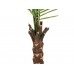 EUROPALMS Kentia Palme, Kunstpflanze, 240cm