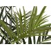 EUROPALMS Kentia Palme, Kunstpflanze, 300cm