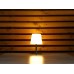 EUROLITE AKKU Table Light 2 RGB+WW