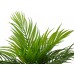 EUROPALMS Goldfruchtpalme, Kunstpflanze, 46 cm