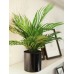 EUROPALMS Goldfruchtpalme, Kunstpflanze, 46 cm