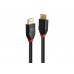 Lindy 41167 Aktives 1.4 DisplayPort-Kabel, 5.0m