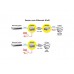 Roline Gigabit PoE Injektor, schwarz, 30W, IN: 1x RJ45, OUT: 1x RJ45 (PoE), 1 Gbit/s
