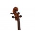 DIMAVERY Cello 4/4 mit Soft-Bag