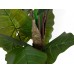 EUROPALMS Pfeilblatt - Alocasia, Kunstpflanze, 140cm