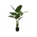 EUROPALMS Strelitzie, Kunstpflanze, 110cm