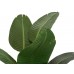EUROPALMS Strelitzie, Kunstpflanze, 170cm