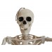 EUROPALMS Halloween Skelett, stehend, 150 cm